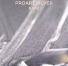 PA22 ProArt Silver thumbnail